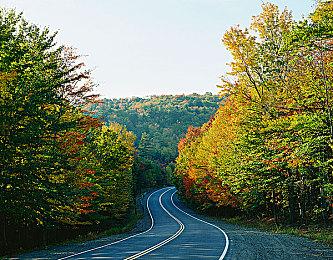 这队友你就救吧，一救一个不吱声